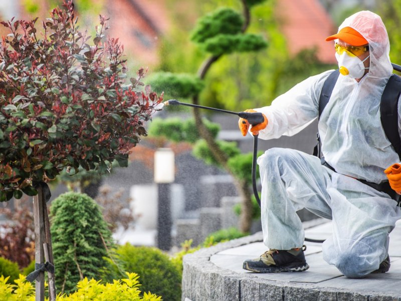 Muratlı Haşere İlaçlama